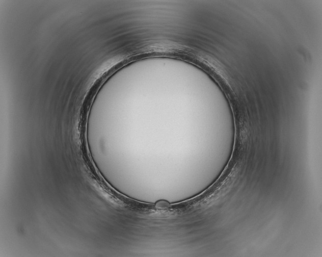 X0000110861026200907021411