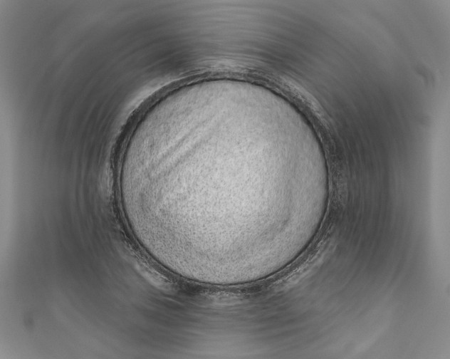 X0000110861027200907021411