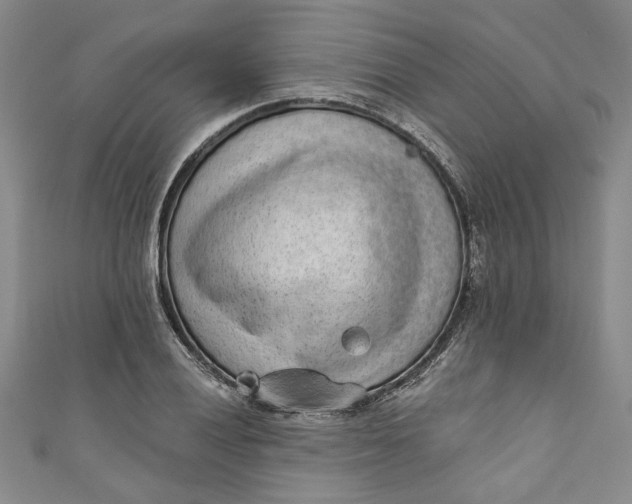 X0000110861028200907021411