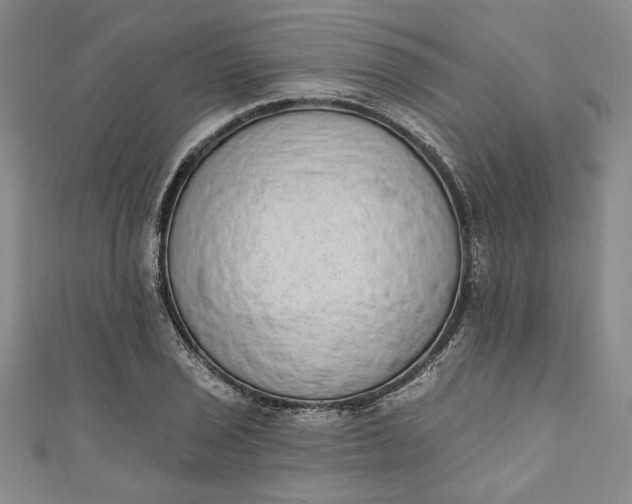 X0000110861029200907021411