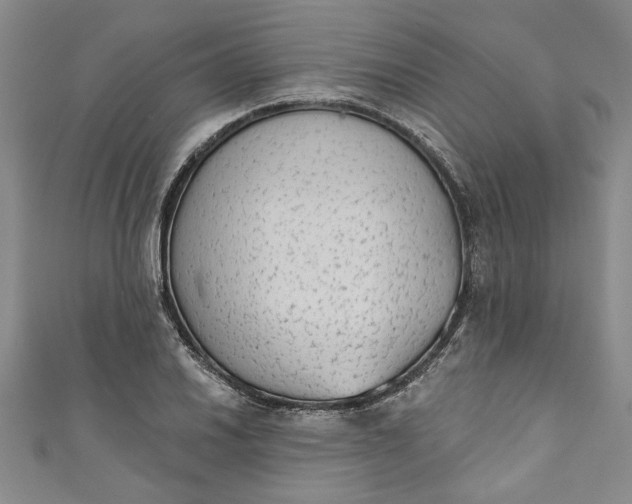 X0000110861030200907021411