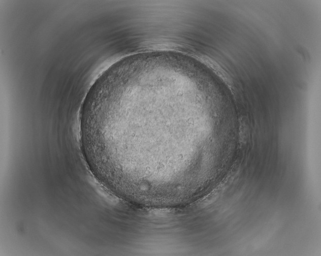 X0000110861031200907021411