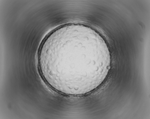 X0000110861032200907021411