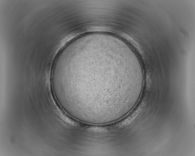 X0000110861033200907021411