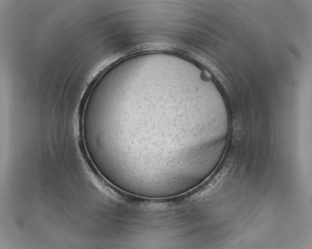 X0000110861034200907021411