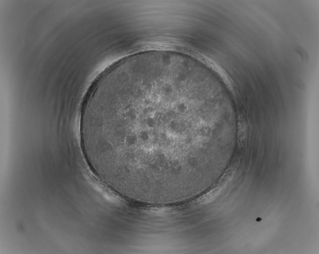 X0000110861035200907021411