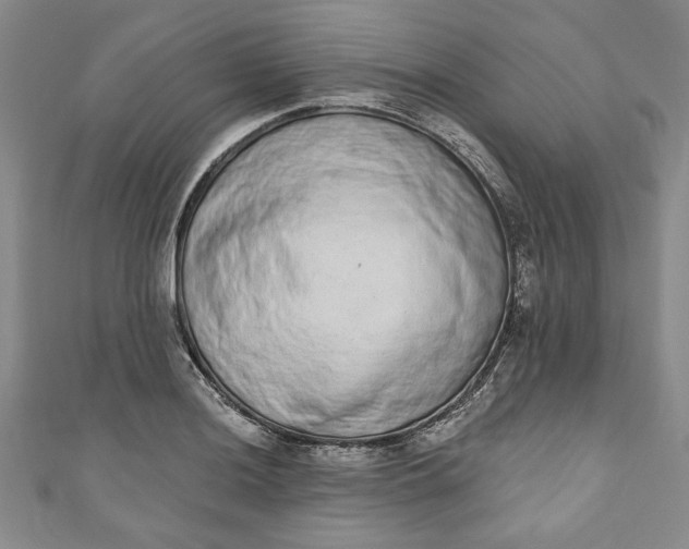 X0000110861036200907021411