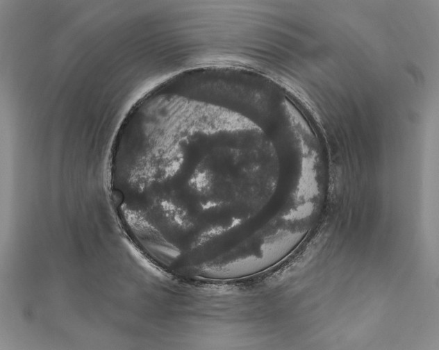 X0000110861037200907021411