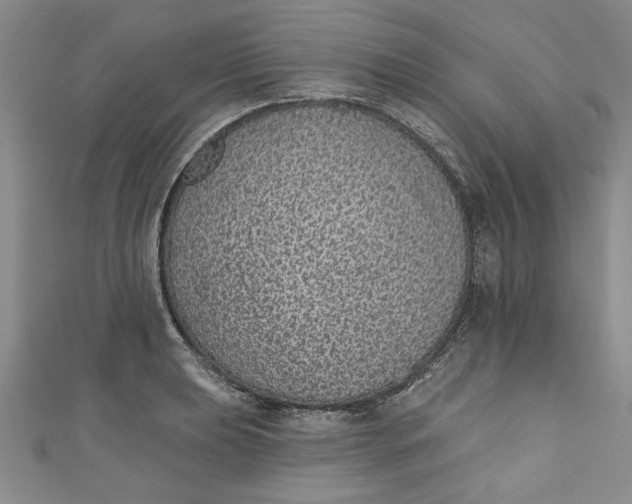 X0000110861039200907021411