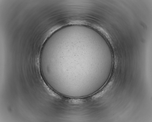 X0000110861041200907021412