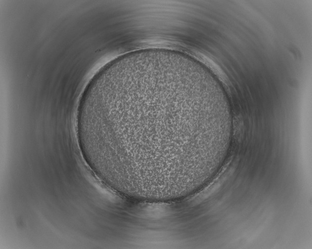 X0000110861043200907021412