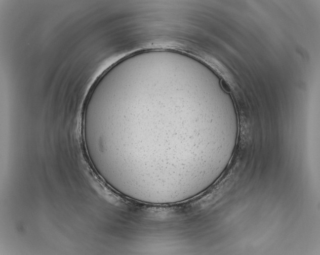 X0000110861044200907021412