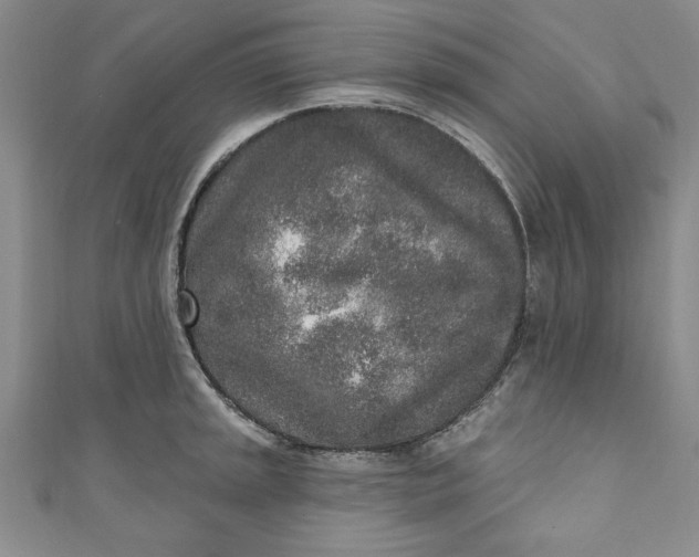 X0000110861045200907021412