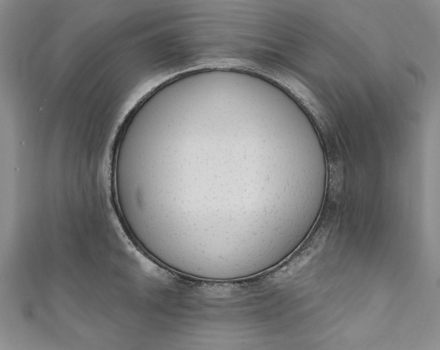 X0000110861046200907021412