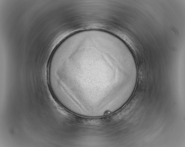 X0000110861047200907021412