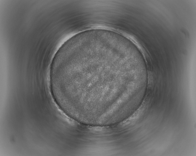 X0000110861048200907021412