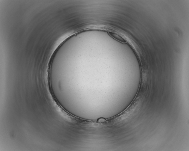 X0000110861050200907021412