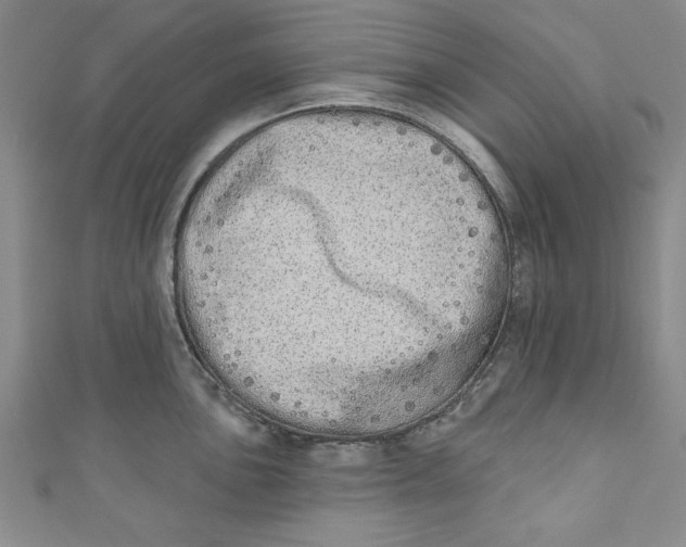 X0000110861051200907021412