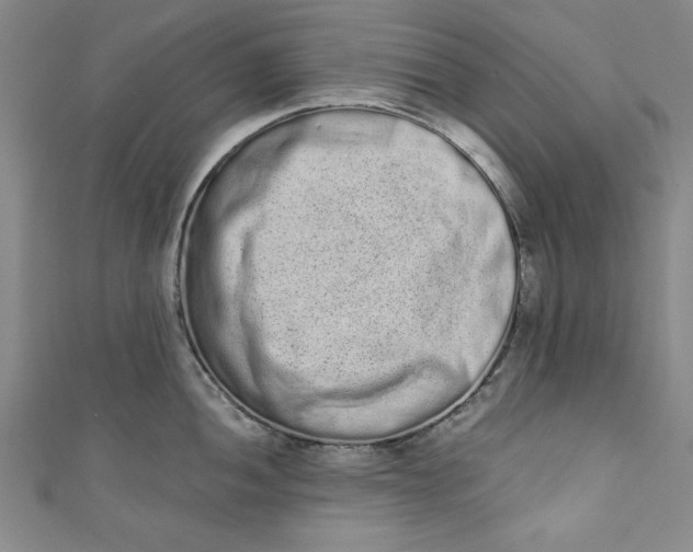 X0000110861052200907021412