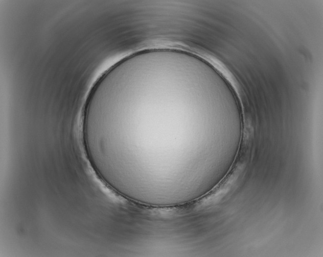 X0000110861053200907021412