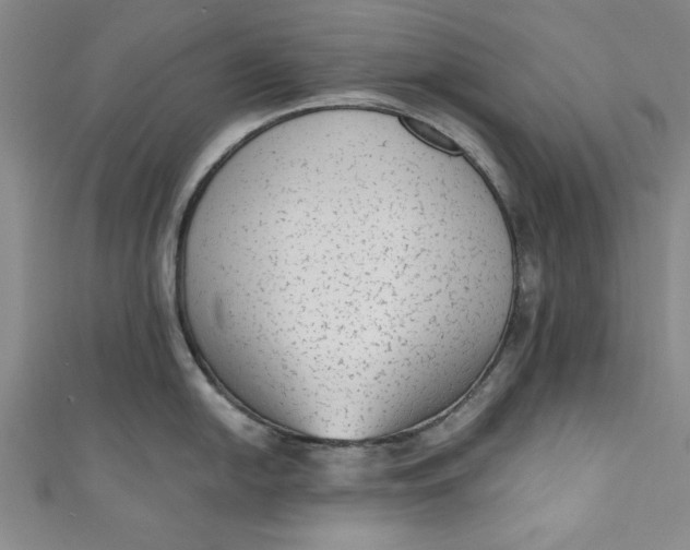 X0000110861054200907021412