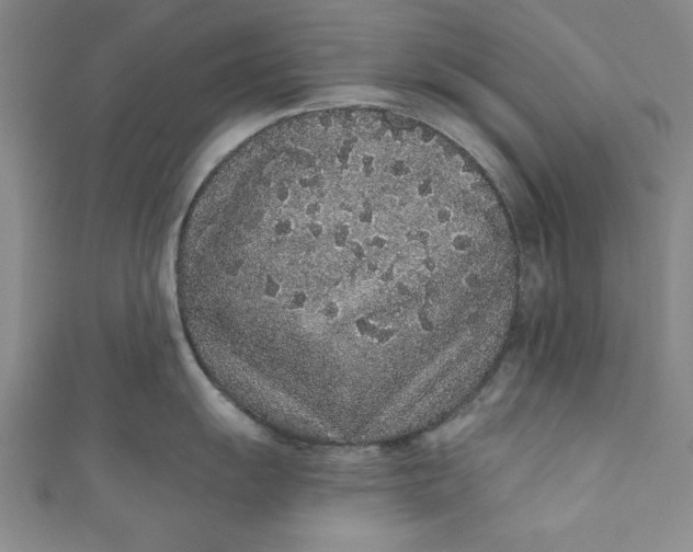 X0000110861055200907021412