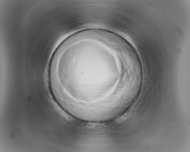 X0000110861056200907021412