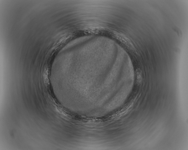 X0000110861060200907021411