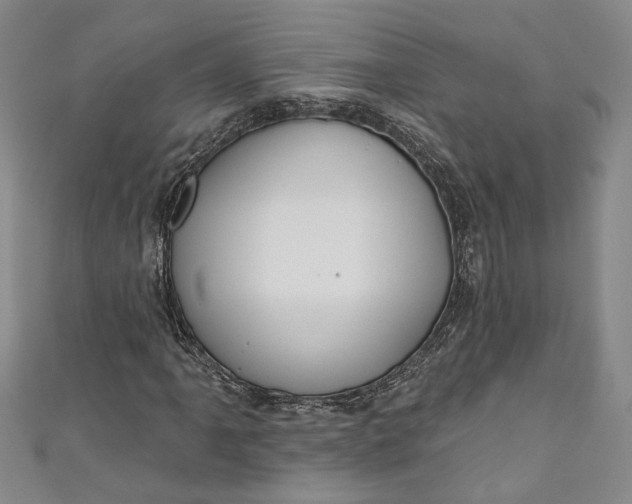 X0000110861061200907021411