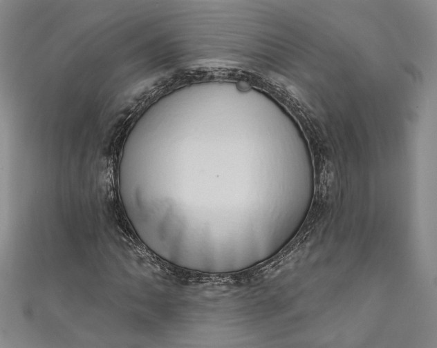 X0000110861062200907021411