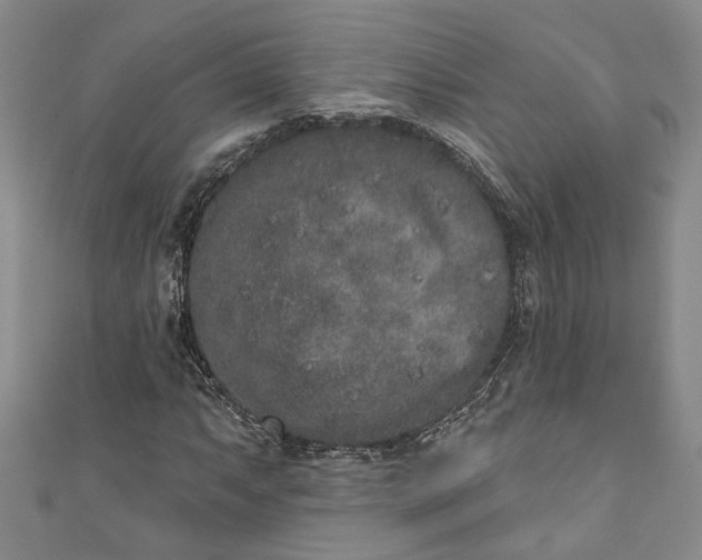 X0000110861063200907021411