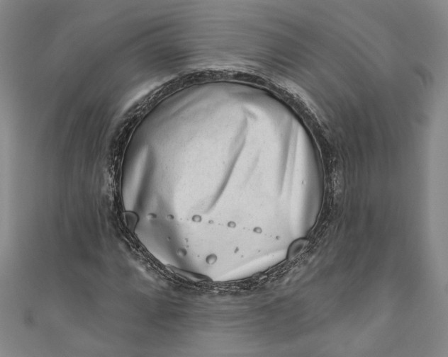 X0000110861064200907021411