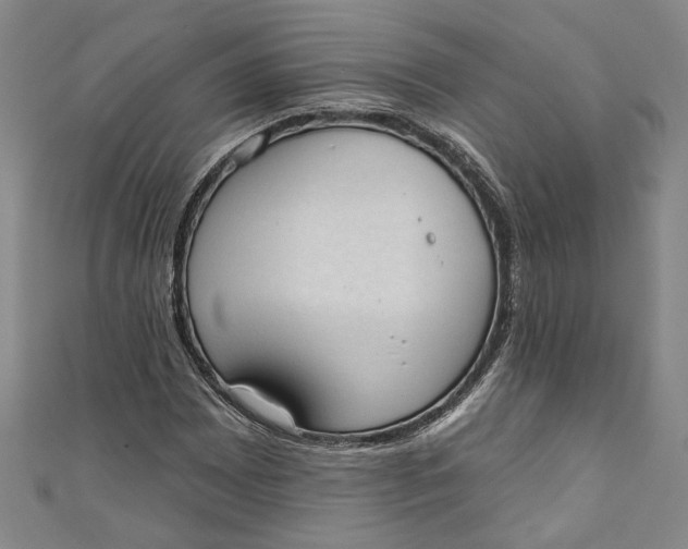 X0000110861065200907021411