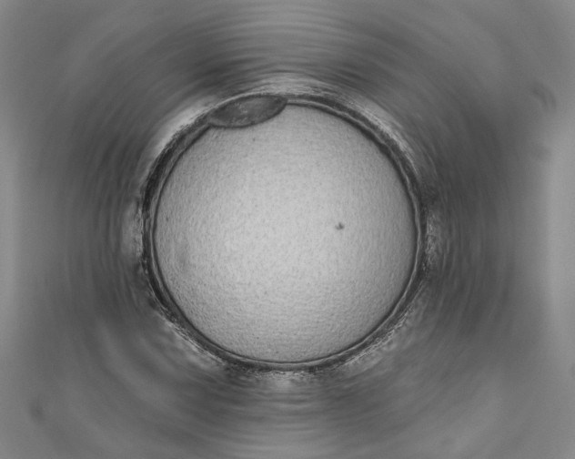 X0000110861067200907021411