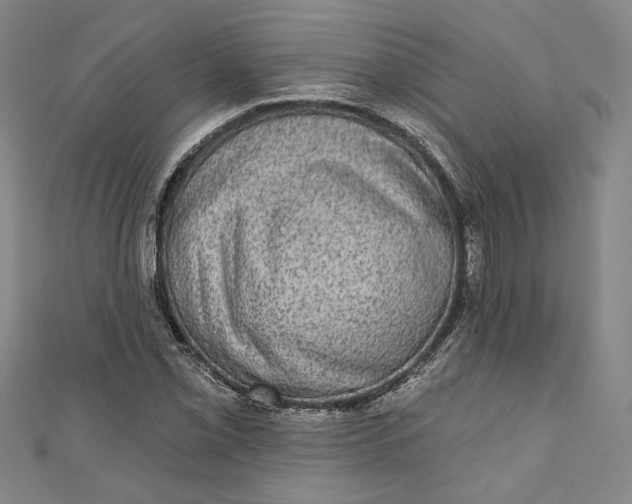 X0000110861069200907021411