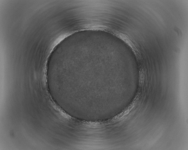 X0000110861071200907021411