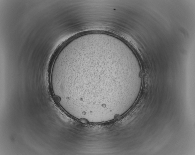 X0000110861072200907021411