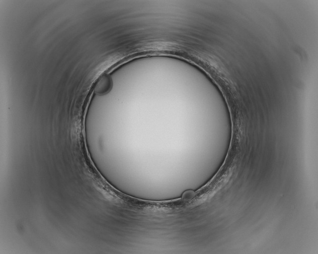 X0000110861073200907021411