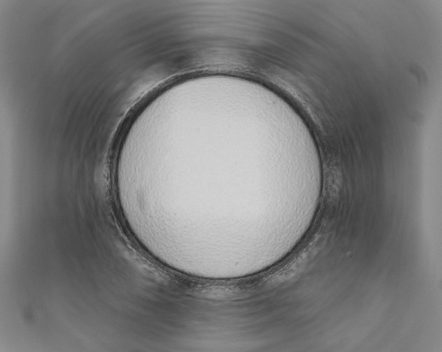 X0000110861074200907021411