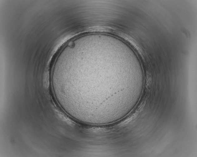 X0000110861075200907021411