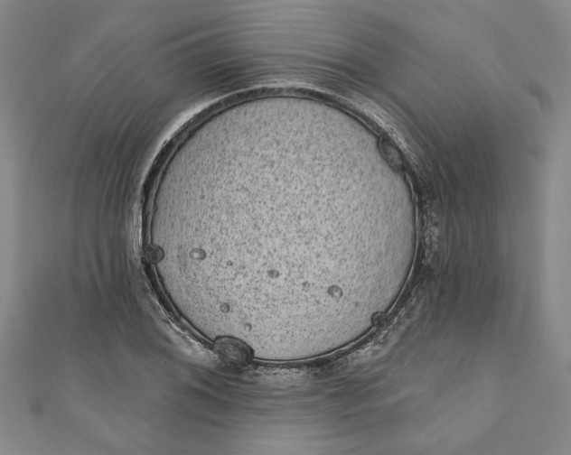 X0000110861076200907021411