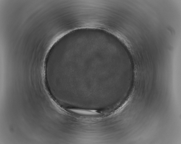 X0000110861077200907021411