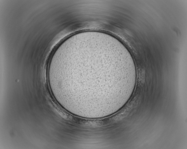 X0000110861078200907021411