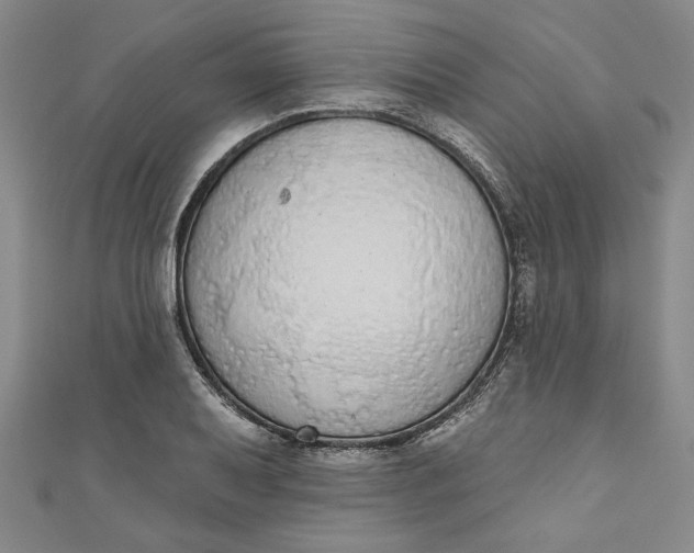 X0000110861079200907021411