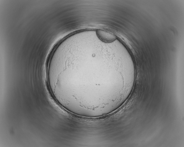 X0000110861080200907021411