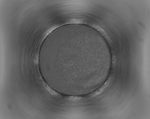 X0000110861081200907021411