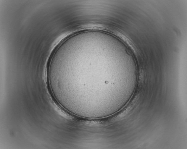 X0000110861082200907021411