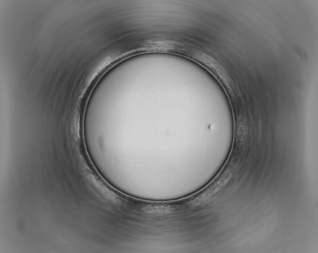 X0000110861083200907021411