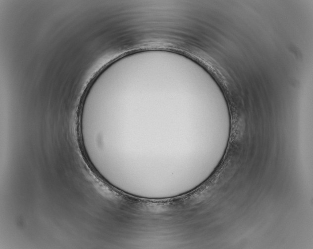 X0000110861086200907021411