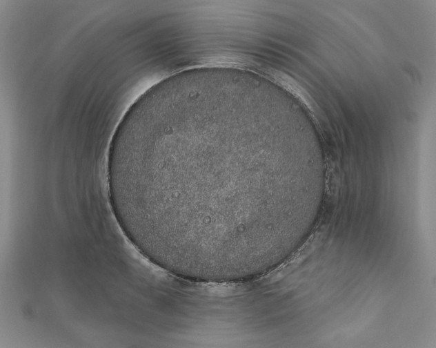 X0000110861087200907021411